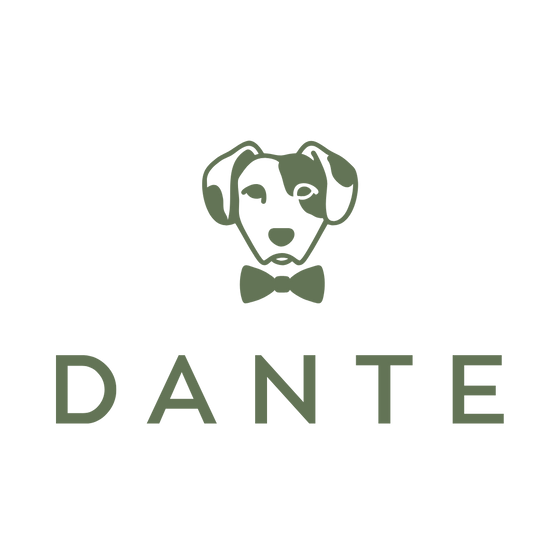 DANTE CHILE